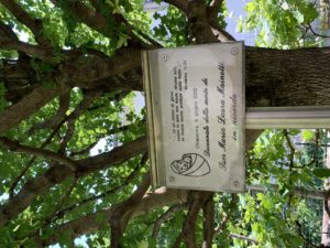 IMG-3467